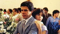 «Гулящая кошка (1985)» — обои к сериалу #2