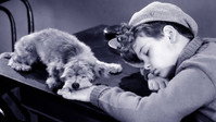 «Могучий Макгурк (1947)» — обои к фильму #1