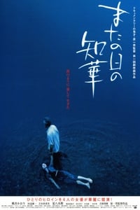 またの日の知華 (2005)