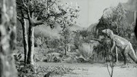 «Along the Moonbeam Trail (1920)» — обои к мультфильму #1