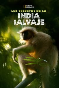 Poster de Secrets of Wild India