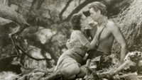 «Тарзан: Человек-обезьяна (1932)» — обои к фильму #4
