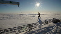 Antarctic Aftermath