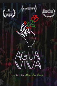 Постер мультфильма «Agua Viva (2018)» — (2 из 4)