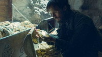 The Treasure
