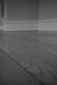The House Is Empty (2020) poster
