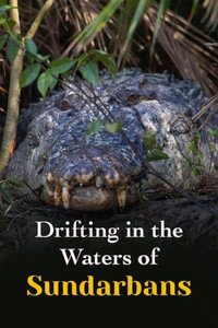 Drifting in the Waters of Sundarbans (2023) subtitle poster