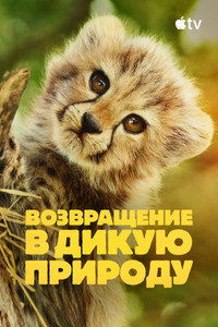 Постер сериала «Возвращение в дикую природу (2025)» — (7 из 17)