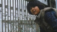 «Panda monogatari (1988)» — обои к фильму #1