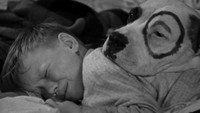 «Dogs Is Dogs (1931)» — обои к фильму #1