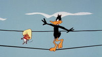 «Daffy Rents (1966)» — обои к мультфильму #1