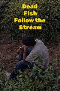 Dead Fish Follow the Stream (2026) poster