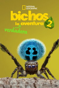 Temporada 2