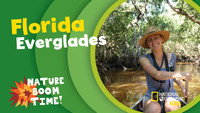 Florida Everglades