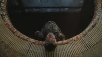 «Покойся с миром, Генри (2023)» — обои к сериалу #3