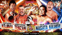 Обои к фильму «NJPW Wrestle Kingdom 14: Night 1 (2020)» — (12 из 16)