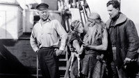 «The Sea Lion (1921)» — обои к фильму #1