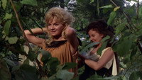 «Тарус, сын Аттилы (1962)» — обои к фильму #10