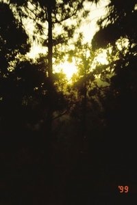 In The Blink of An Eye