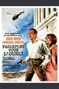 Passeport pour l'oubli (1966)