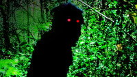 Oncle Boonmee (celui qui se souvient de ses vies antérieures)