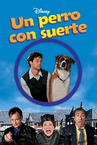 Poster de Un perro con suerte