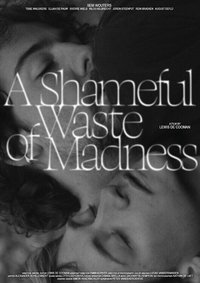 Poster de A Shameful Waste of Madness