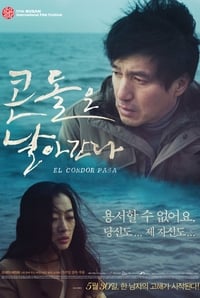 콘돌은 날아간다 (2013)