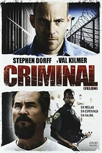 Poster de Criminal (Felon)