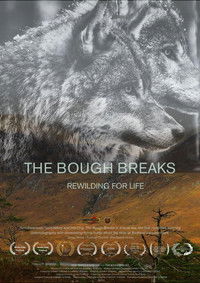 The Bough Breaks