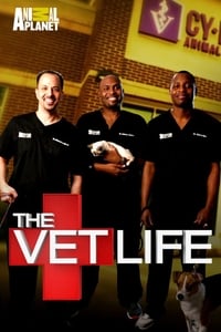 copertina serie tv The+Vet+Life 2016