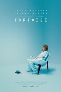 Poster de Tortoise