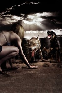 movie-images