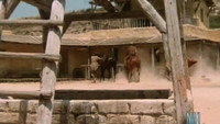 «Заплати и умирай (1973)» — обои к фильму #1