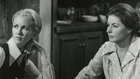 «Прогулка под весенним дождем (1970)» — обои к фильму #1