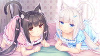 «Кошачий рай (2020)» — обои к аниме #10