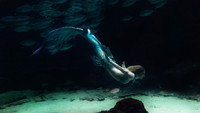 «MerPeople (2023)» — обои к сериалу #4