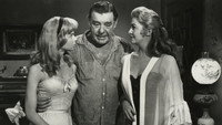«Stage to Thunder Rock (1964)» — обои к фильму #1