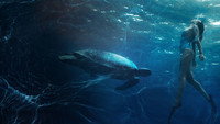 «The Great Barrier Reef (2018)» — обои к фильму #1