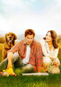 Постер фильма «На полпути к небесам (2011)» — (4 из 8)