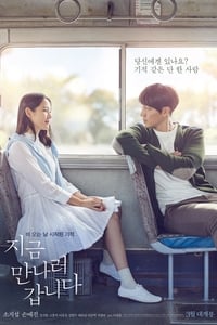 Poster de 지금 만나러 갑니다