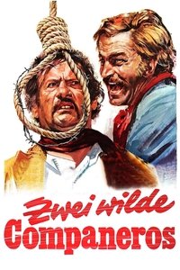 movie_cover