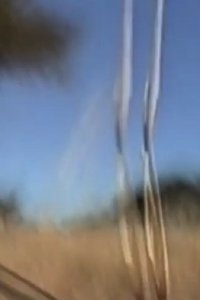 Imagem do Filme Mount Magnet