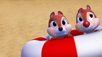 «Chip 'n Dale's Nutty Tales (2017)» — обои к мультсериалу #4