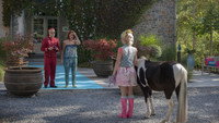 «K3 Dierenhotel (2014)» — обои к фильму #1