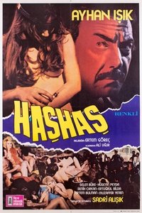 Haşhaş
