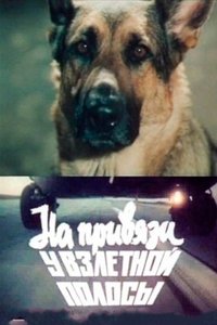 На привязи у взлетной полосы (1989)