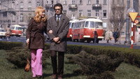 «Нет розы без огня (1974)» — обои к фильму #7