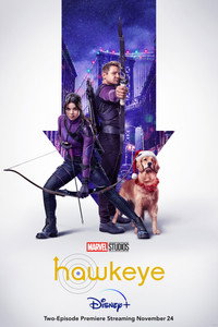 Постер сериала «Соколиный глаз (2021)» — (62 из 208)