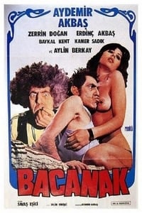 Bacanak (1979)
